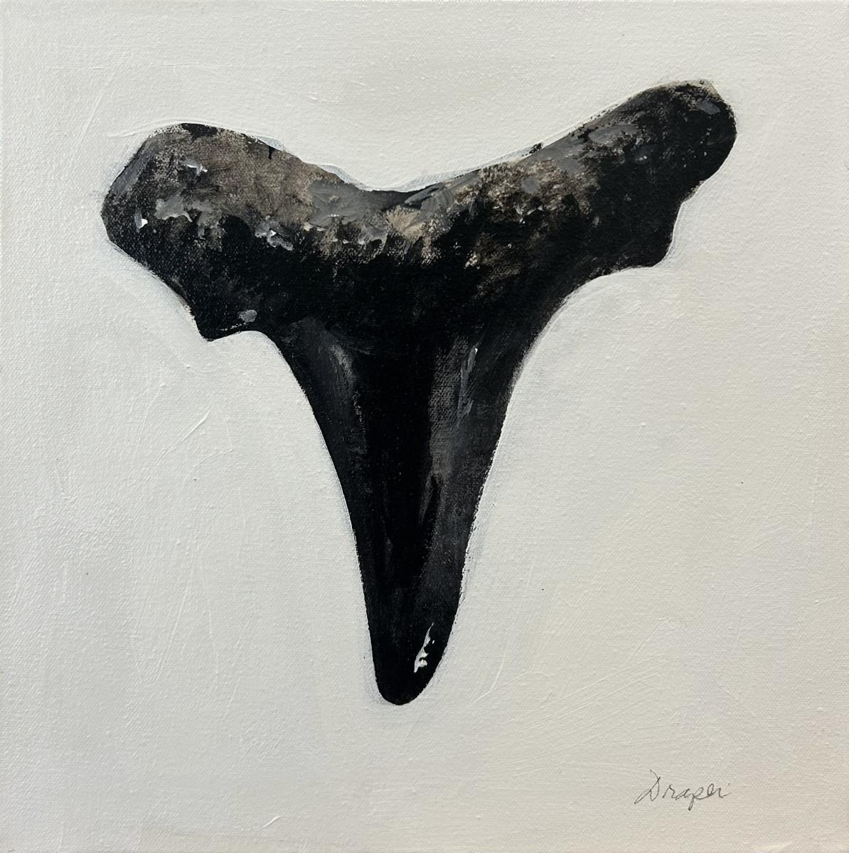 Jim Draper, 
Shark Tooth III,
Oil on Canvas