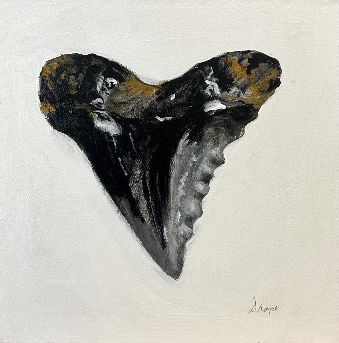 Jim Draper, 
Shark Tooth IV, 
Oil on Canvas
