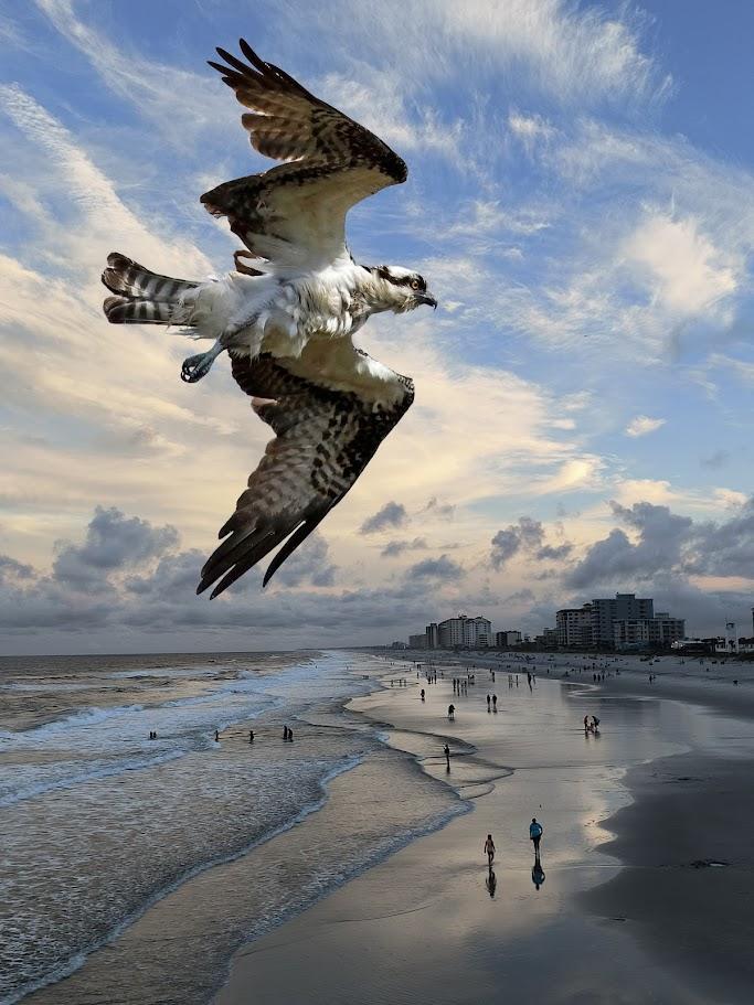 Michael Dunlap,
Beach Construct #2