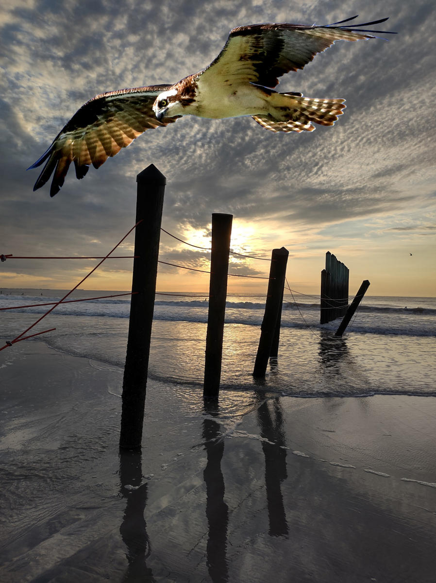 Michael Dunlap,
Beach Construct #22
