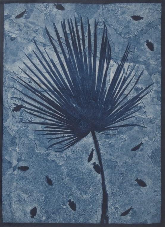 Paul Karabinis, Fish and Frond, Cyanotype