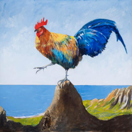 Jim Draper, 
Red Jungle Fowl, Kauai, 
Archival Print
