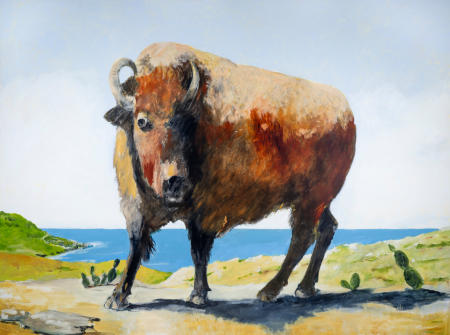 Jim Draper, 
Bison Catalina Island, 
Archival Print