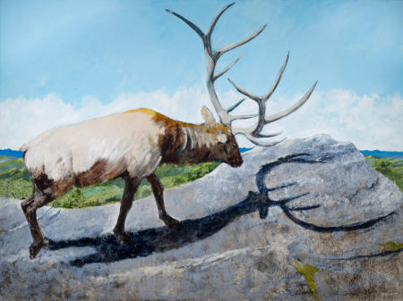 Jim Draper, 
Grandfather Mountain Elk, 
Archival Print on Paper