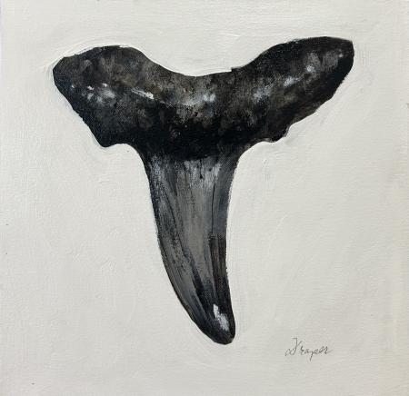 Jim Draper, 
Shark Tooth II, 
Oil on Canvas