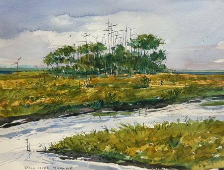 Mark Howard,
Black Creek Hammock,
Watercolor